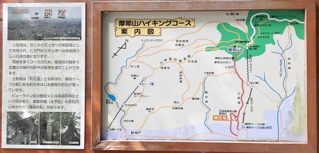 摩耶山『上野道』