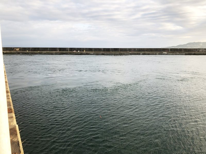 垂水漁港/湾内　中波止マリンピア側　先端　潮の流れ