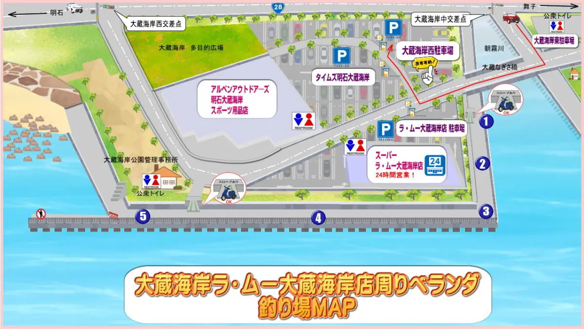 大蔵 海岸 エギング ポイント