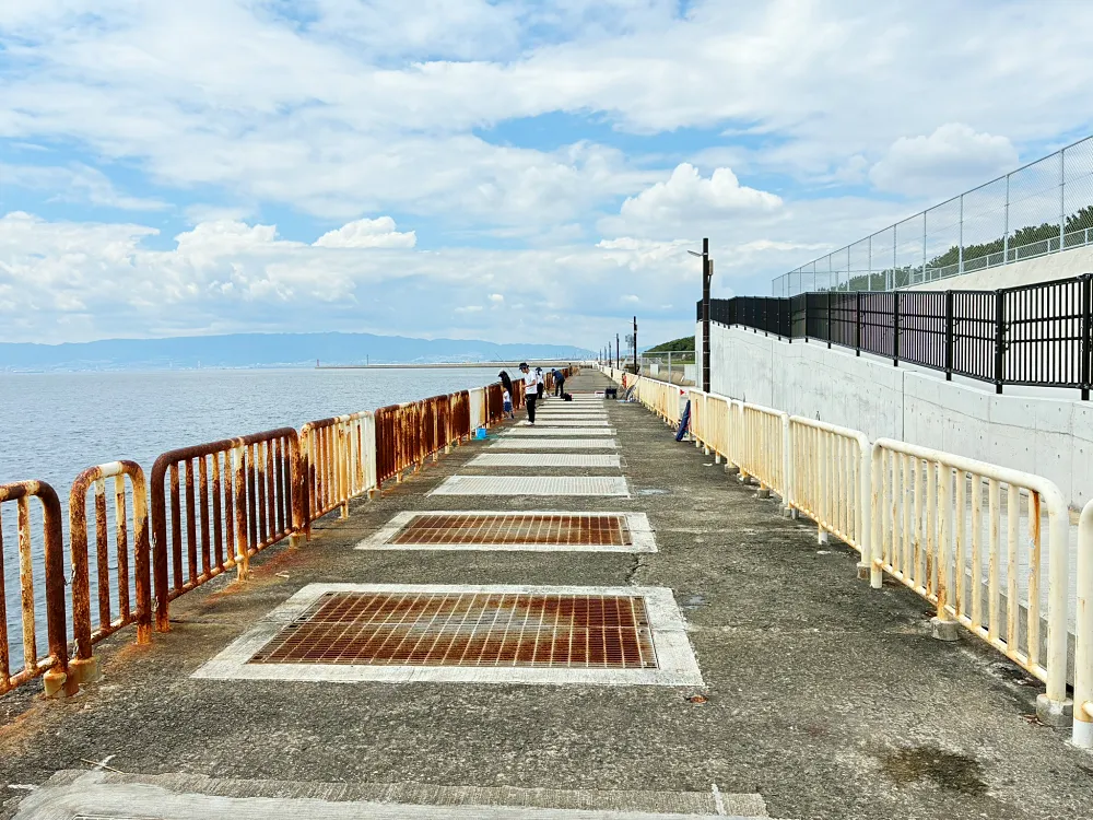 釣り場の安全フェンス