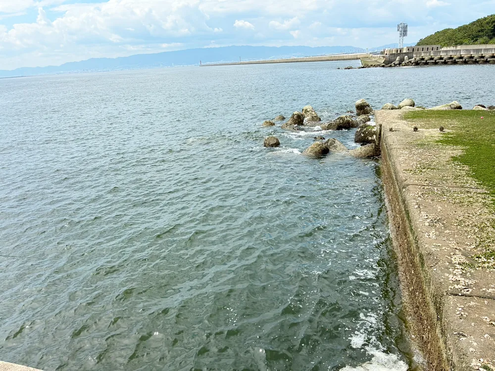 北側エリア先端の海の様子
