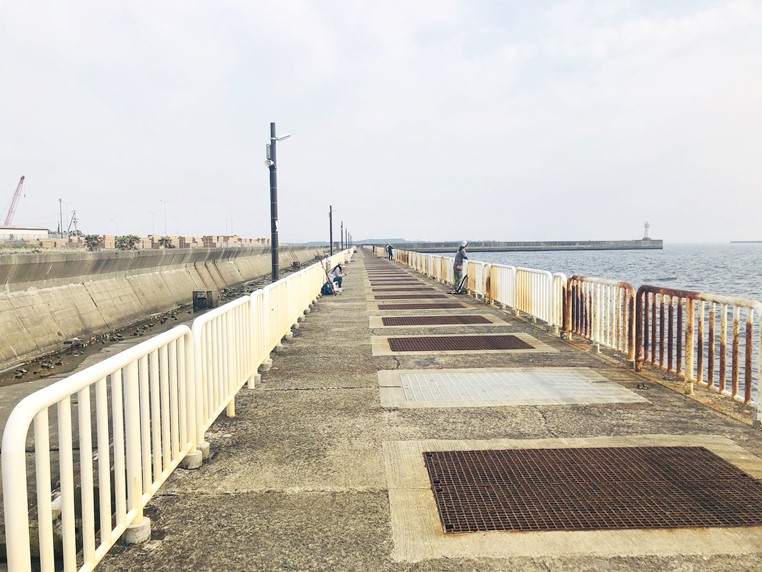 左を向けば大和川北防波堤が見えます