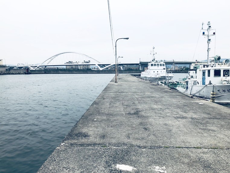 岸和田漁港北側の堤防の全体風景①
