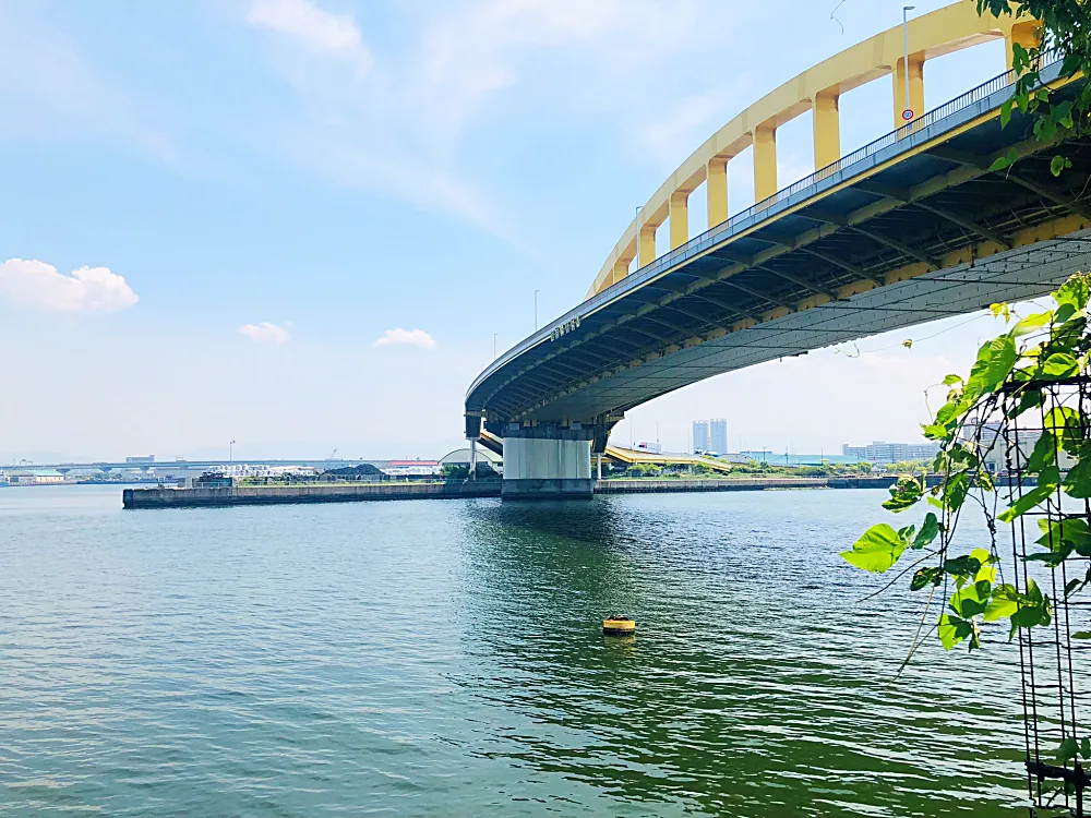 中央から南エリアのポイント⑤海面の様子