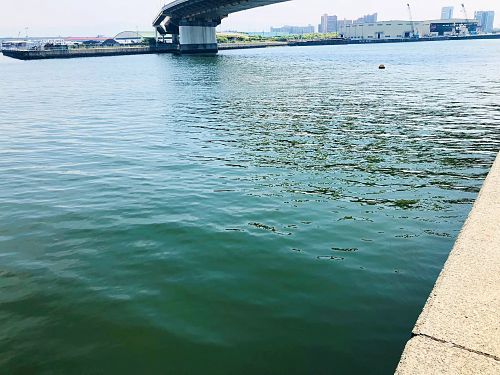 中央から南エリアのポイント③海面の様子