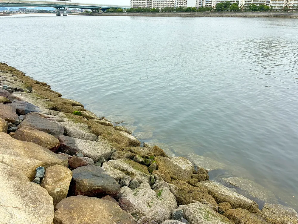 石だたみエリアの釣り場②