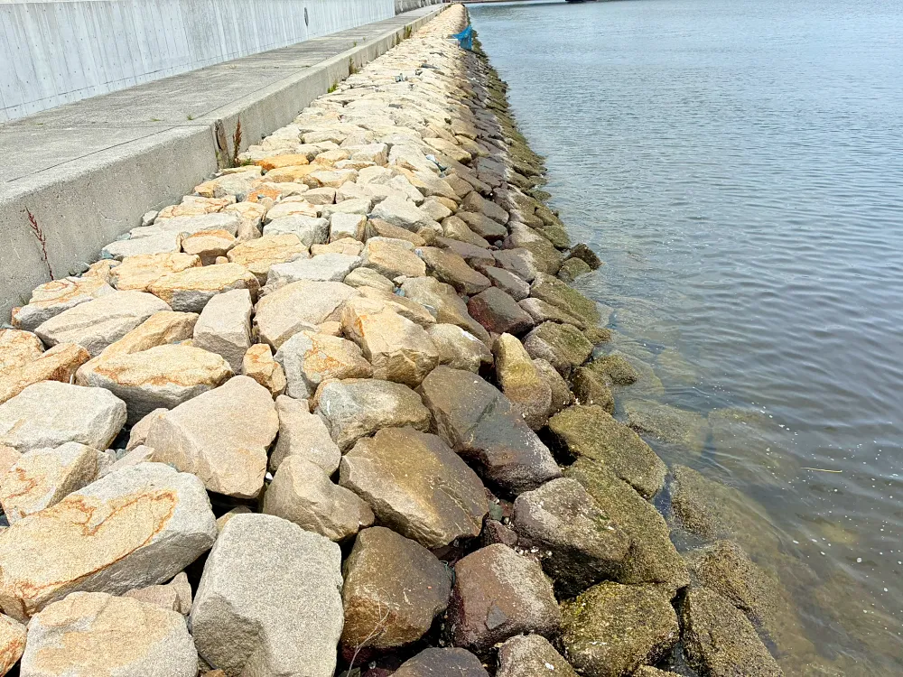 石だたみエリアの釣り場①