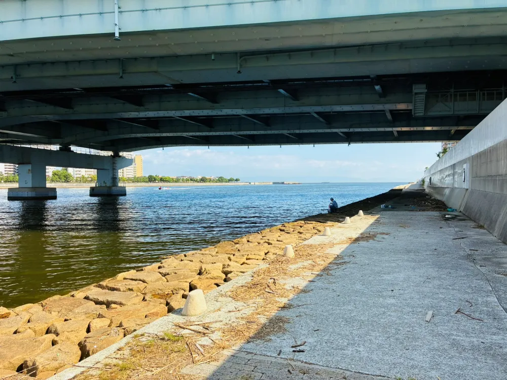 阪神高速5号湾岸線の高架下⓵