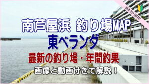 南芦屋浜 釣り場MAP 東ベランダ　最新の釣り場・年間釣果