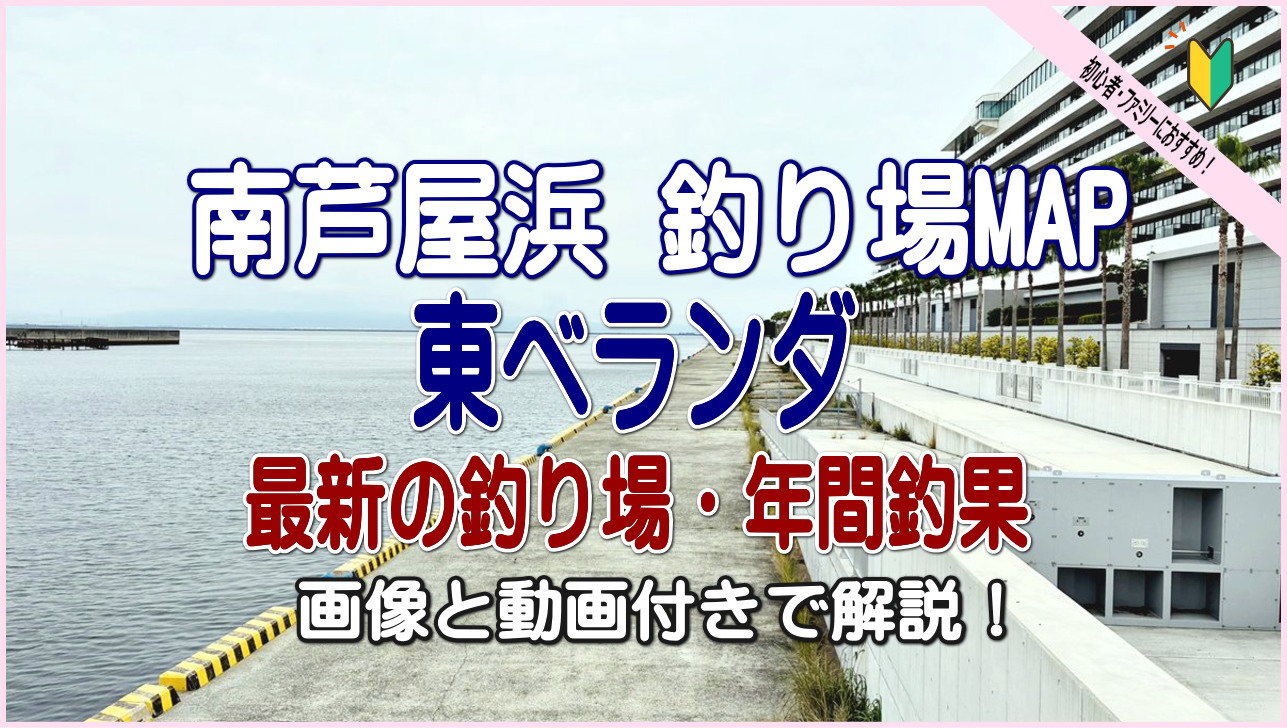 南芦屋浜 釣り場MAP 東ベランダ　最新の釣り場・年間釣果