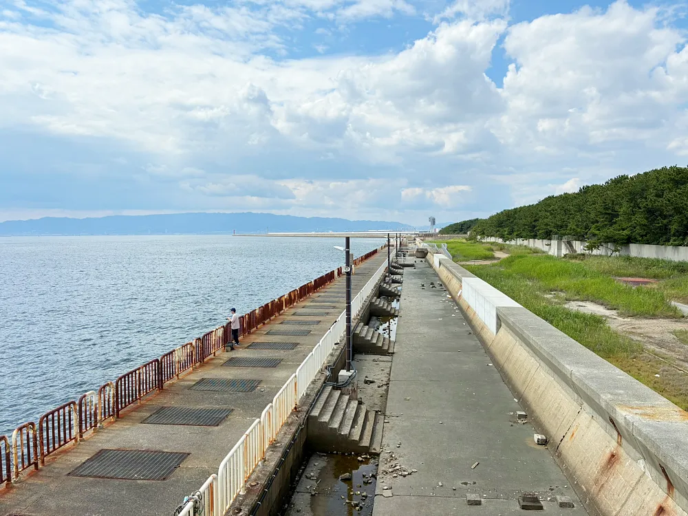 釣り場の風景　北側の画像