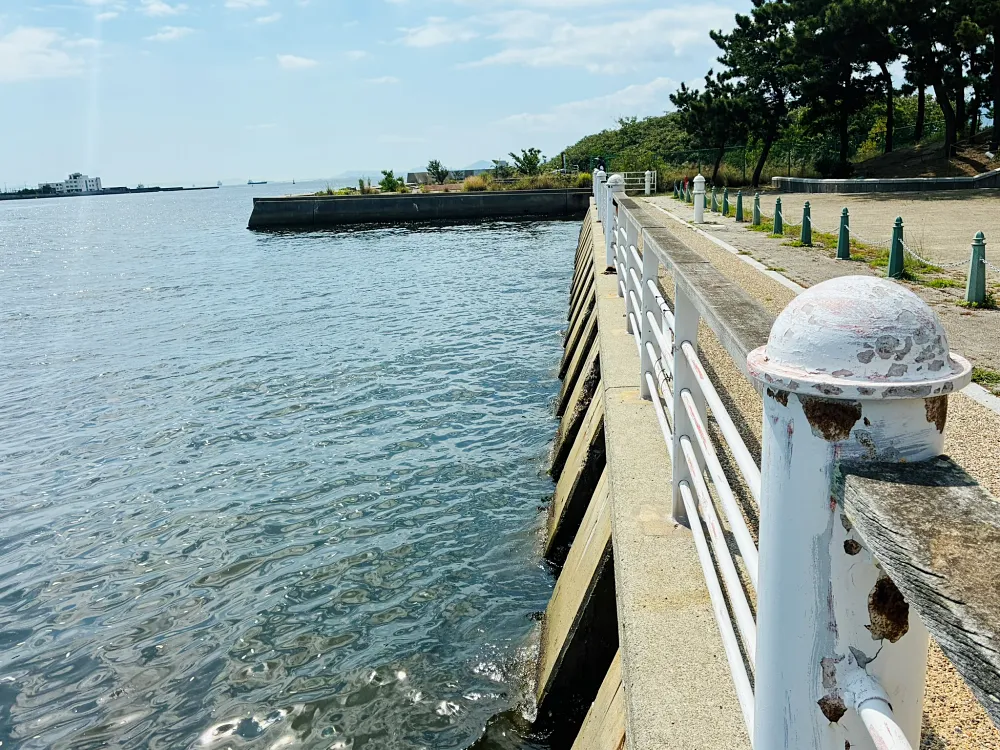 ８月４日現地撮影 釣り場風景①