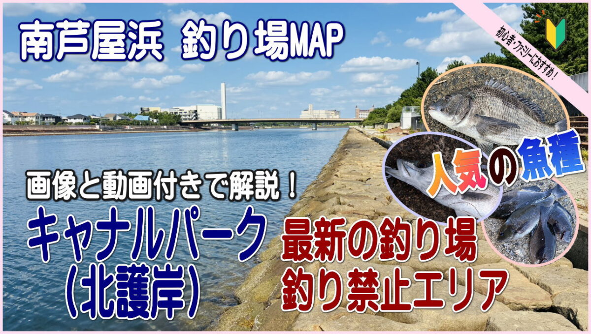 南芦屋浜キャナルパーク(北護岸)最新の釣り場&釣り禁止エリア