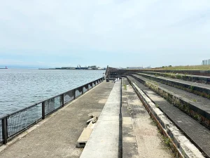 阪南港　木材整理場