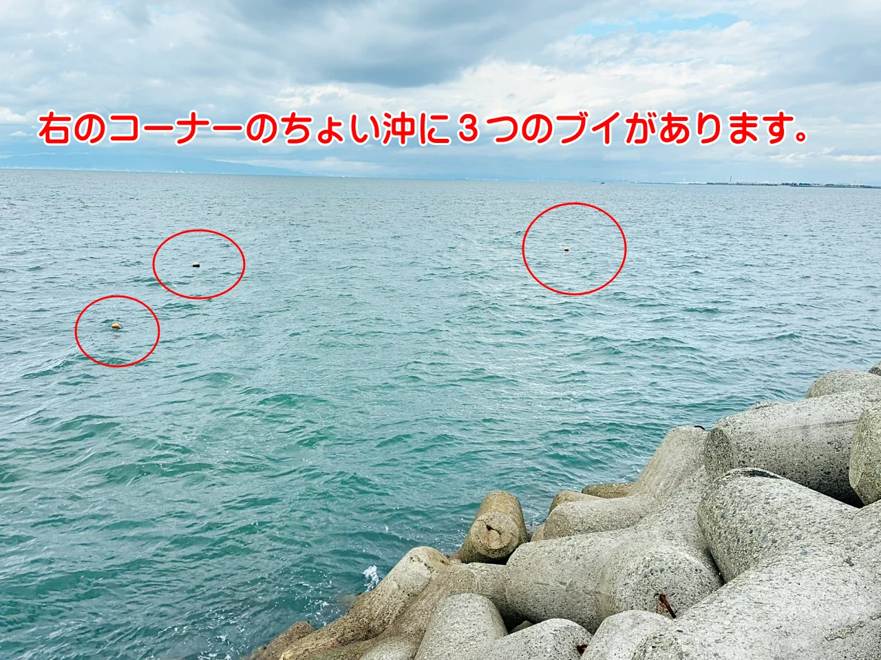 漁業者が設置した杭（ブイ）