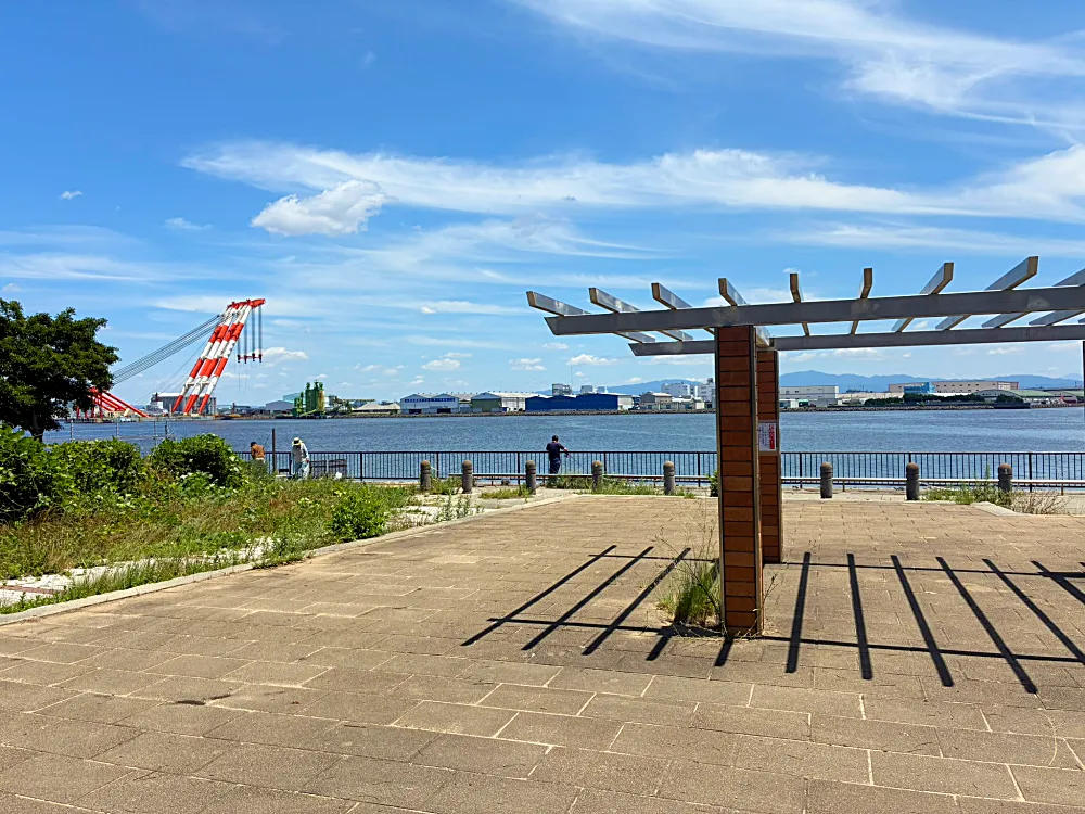 2026年6月10日現地調査
花市場公園前②全体風景