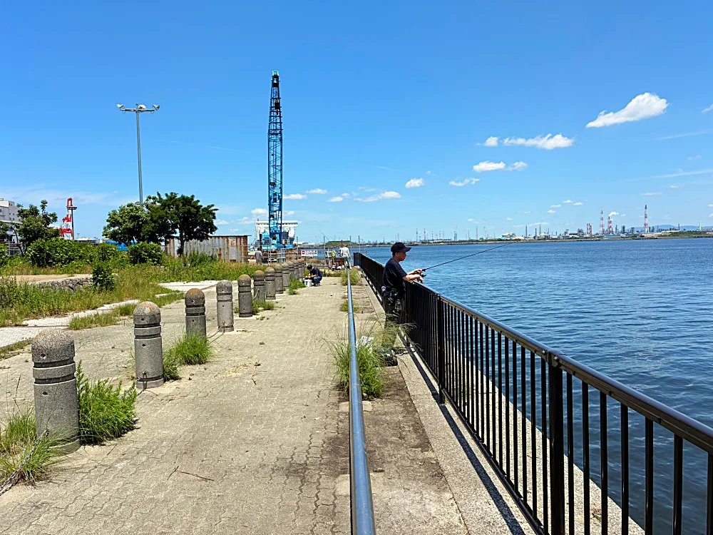 2026年6月10日現地調査
花市場公園前③釣り場風景