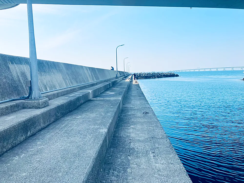 橋の下エリア　湾内側