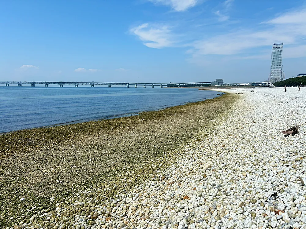 ゴロタ石海岸エリア(りんくうマーブルビーチ側)①
