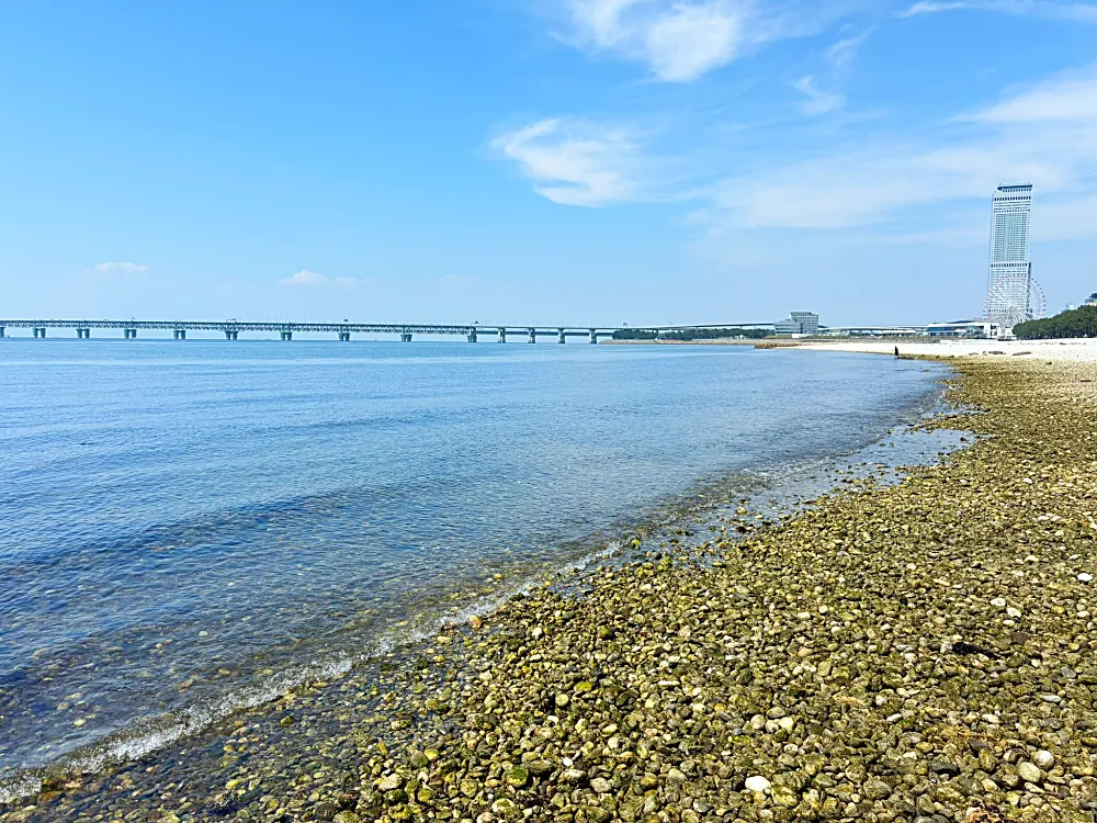 ゴロタ石海岸エリア(りんくうマーブルビーチ側)②