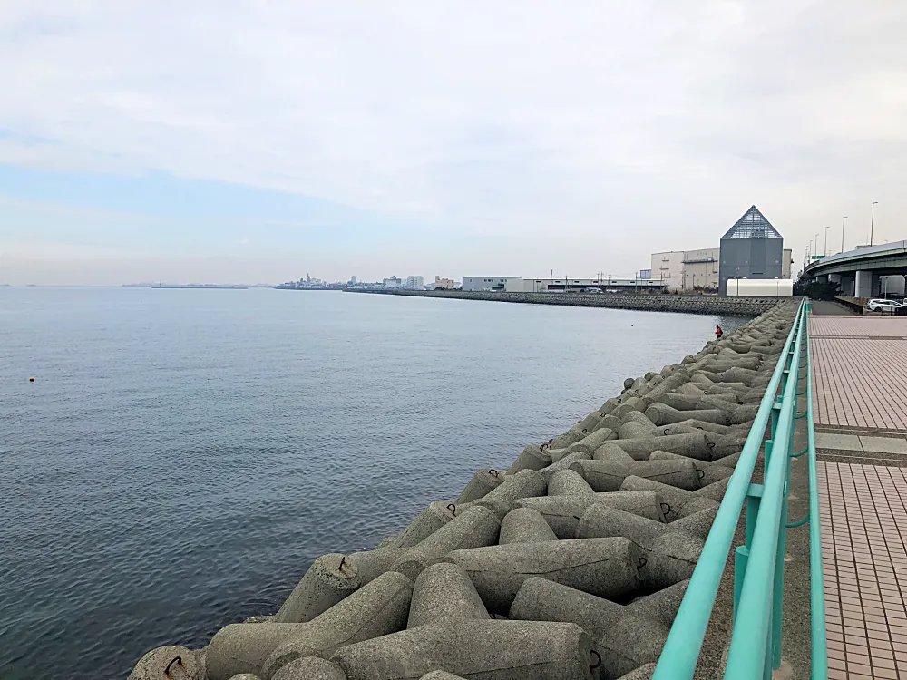 右側をずっと歩いて行くと安全柵が途中からなくなります。
