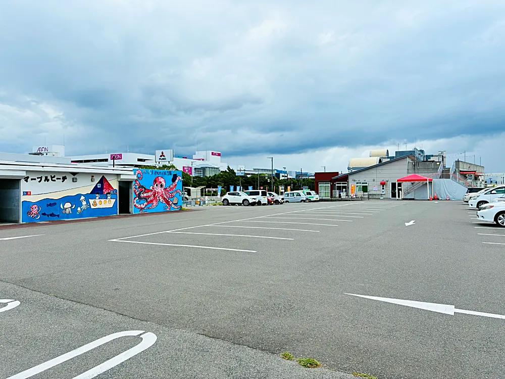 D-parking 泉南りんくう公園 P1駐車場　風景