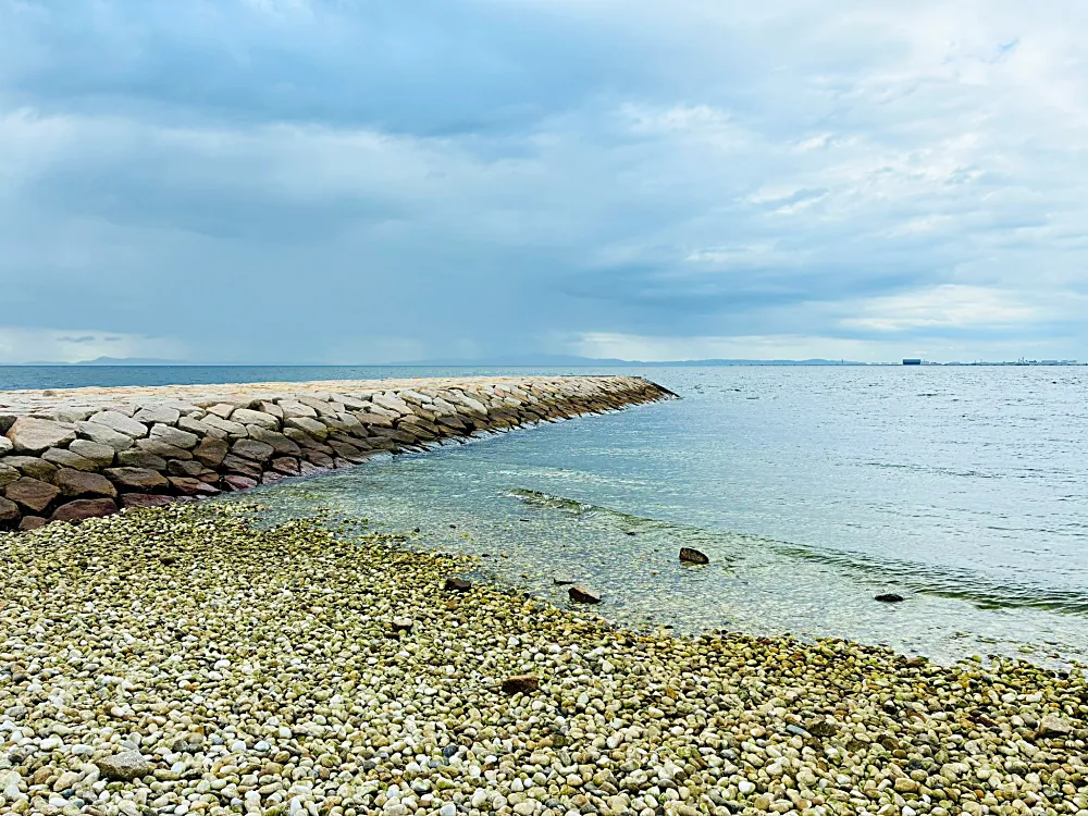石だたみ突起エリア(せんなんマーブルビーチ側)⑨