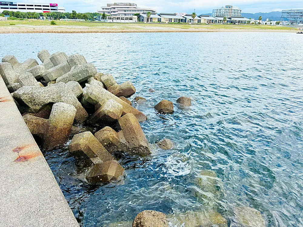 石だたみ突起エリア(せんなんマーブルビーチ側)㉒